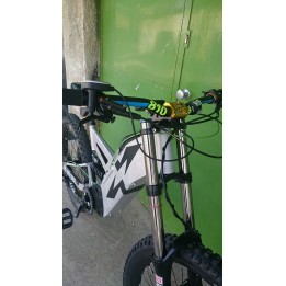 LMX 81